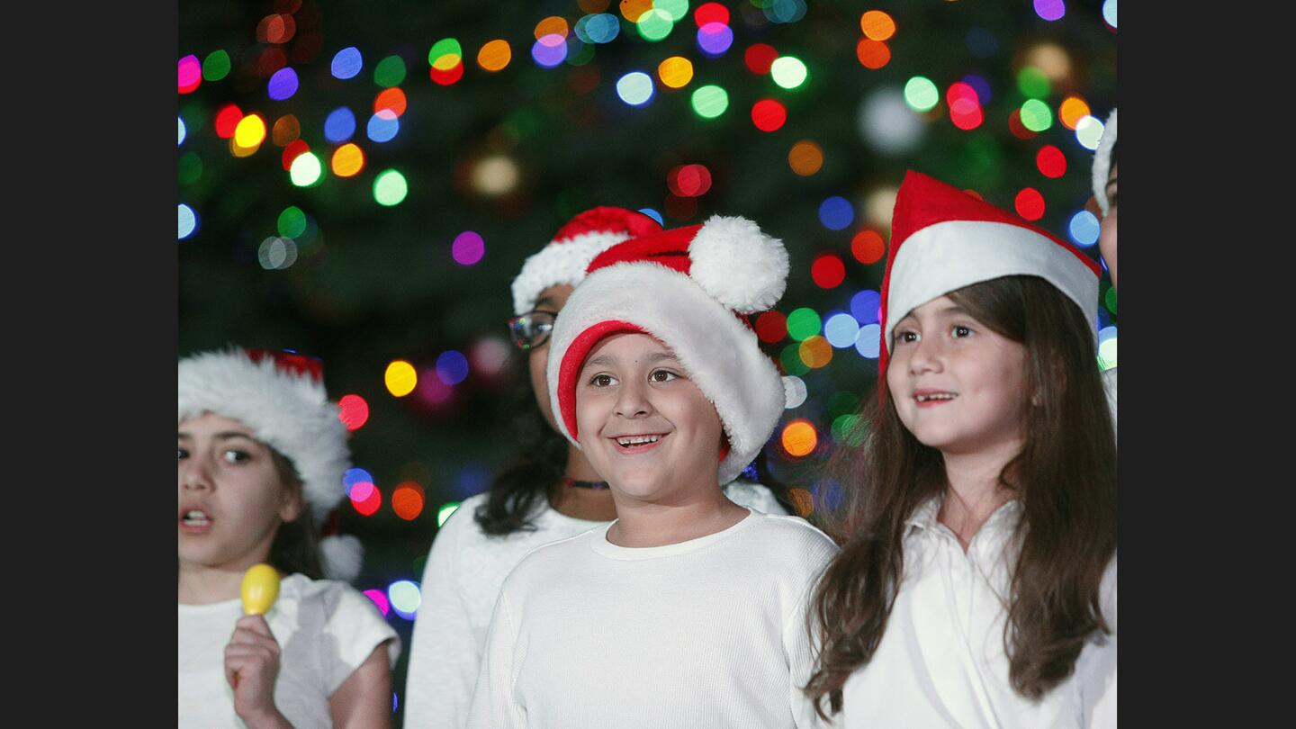 Photo Gallery: Annual Glendale holiday tree lighting