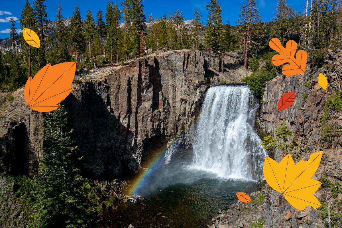 A rainbow forms in the mist of a waterfall. Illustrated leaves blow by.