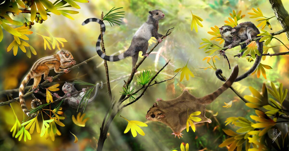 Scientists discover 3 new mammals that lived alongside dinosaurs