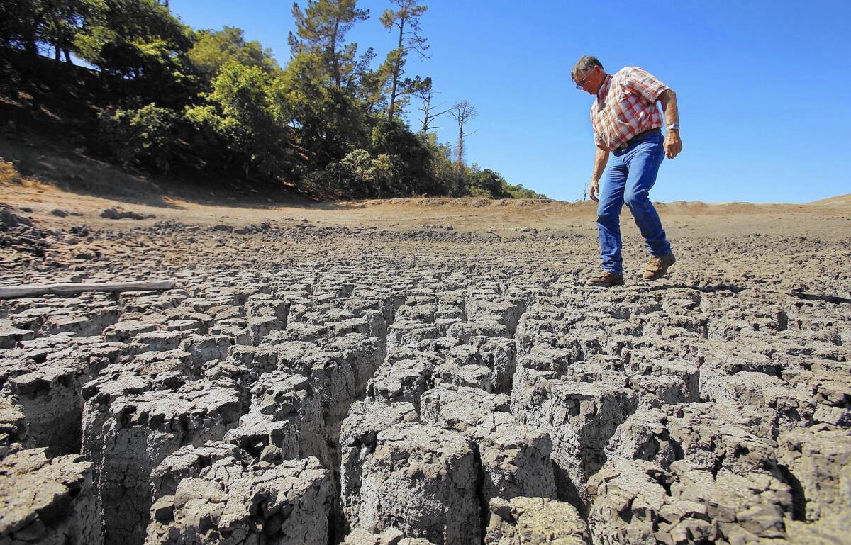 In October 2014, rancher Jon Pedotti walks on the parched, cracked lakebed of his ranch along San Simeon Creek in the Santa Lucia Mountain foothills.