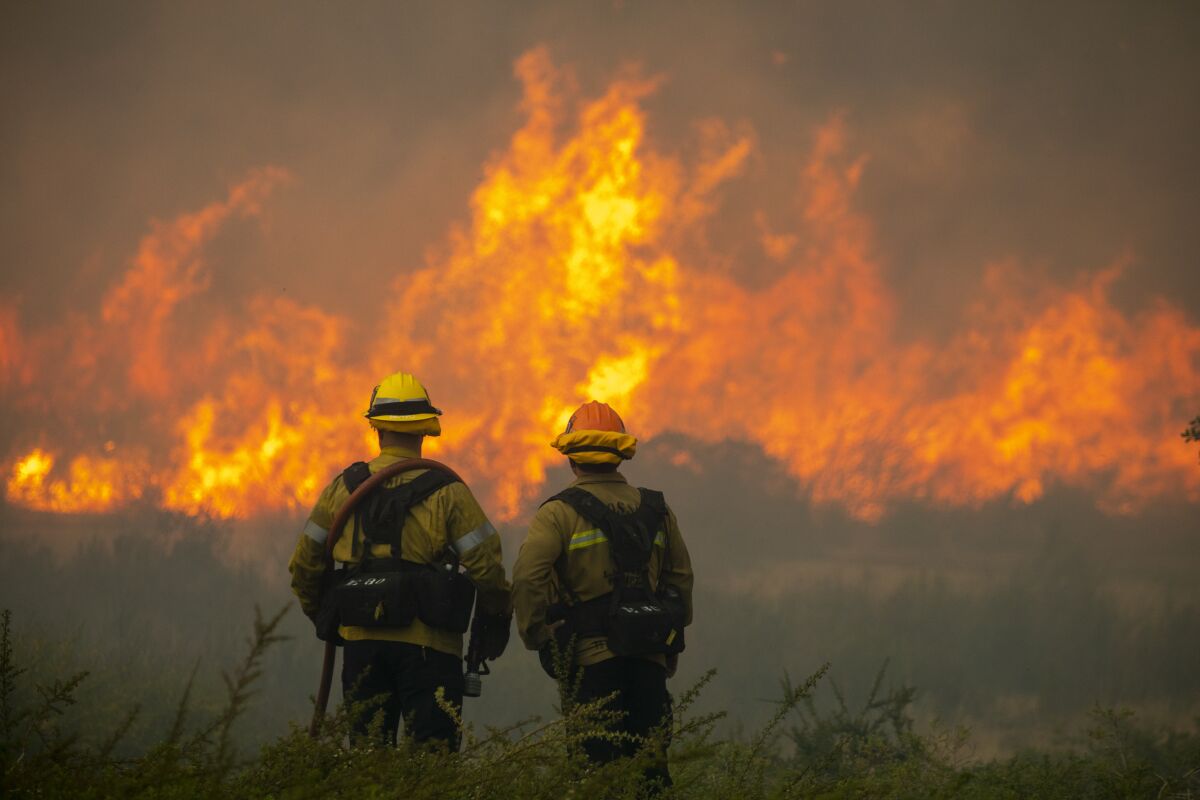 Two firefighters watching a wildfire