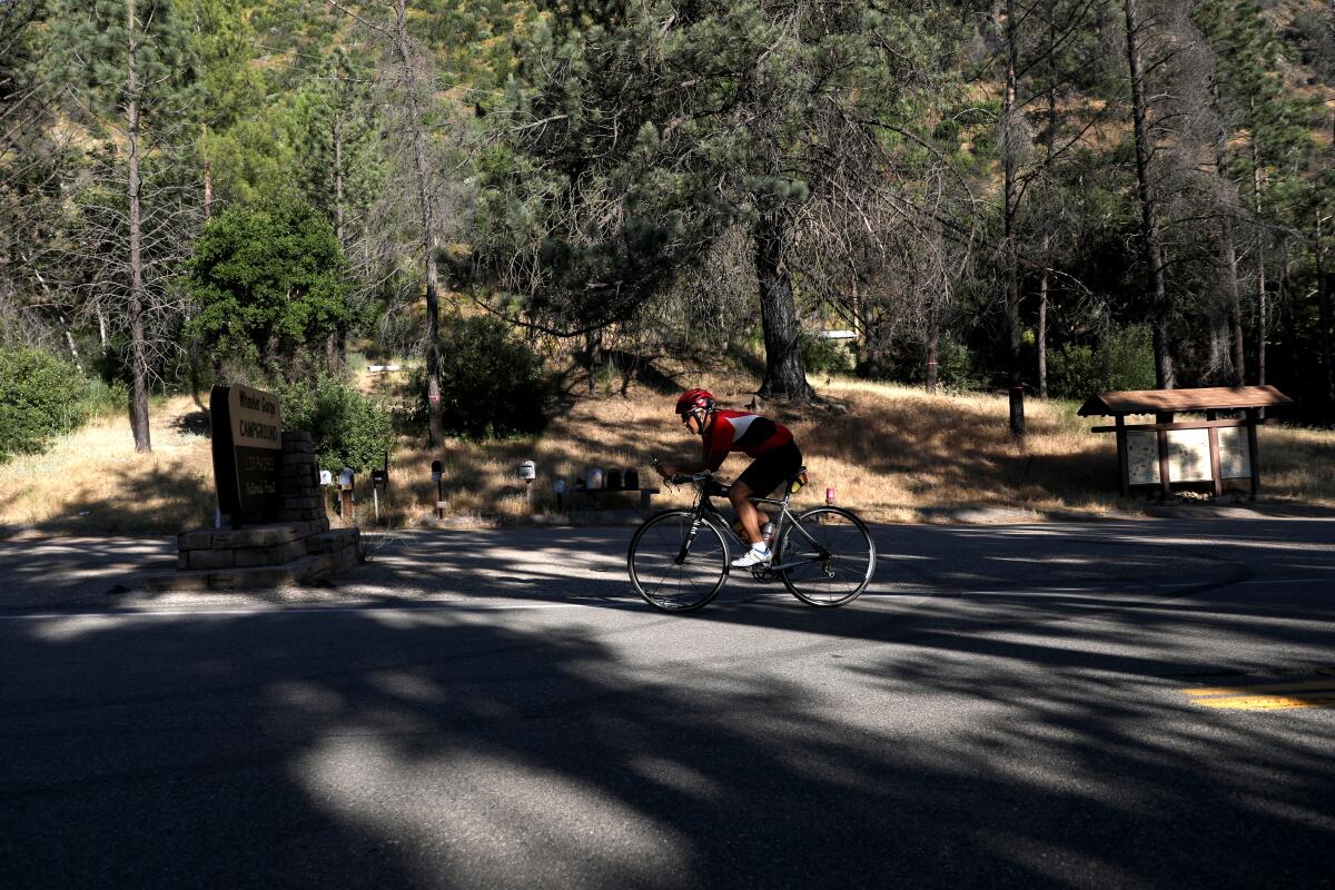 A bicyclist speeds along the Maricopa Highway near the entrance of Wheeler Gorge Campground.