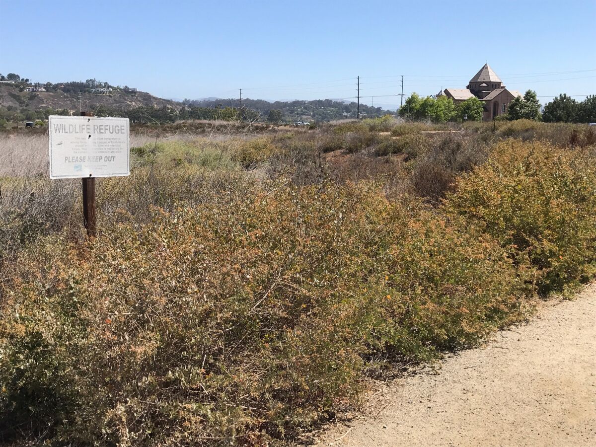 The new trail as part of the restoration will connect with the Dust Devil Nature Trail on El Camino Real.