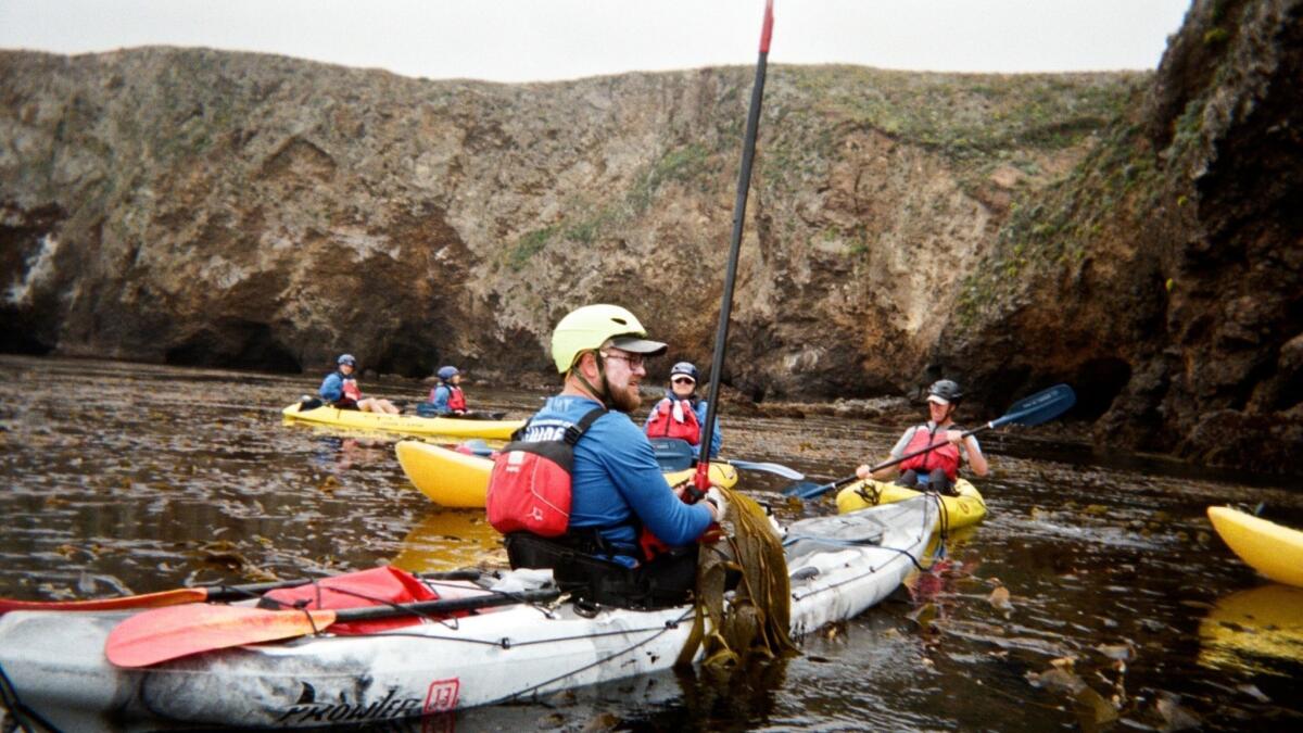 A guide leads a kayak tour of Santa Cruz Island's sea caves near Scorpion Anchorage, Channel Islands National Park.