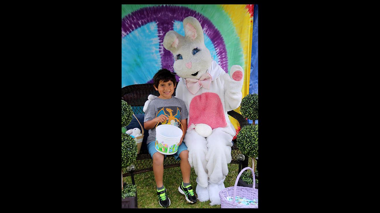 Photo Gallery: 30th annual Egg-Citement event, sponsored by Torelli Realty at Tanager Park in Costa Mesa