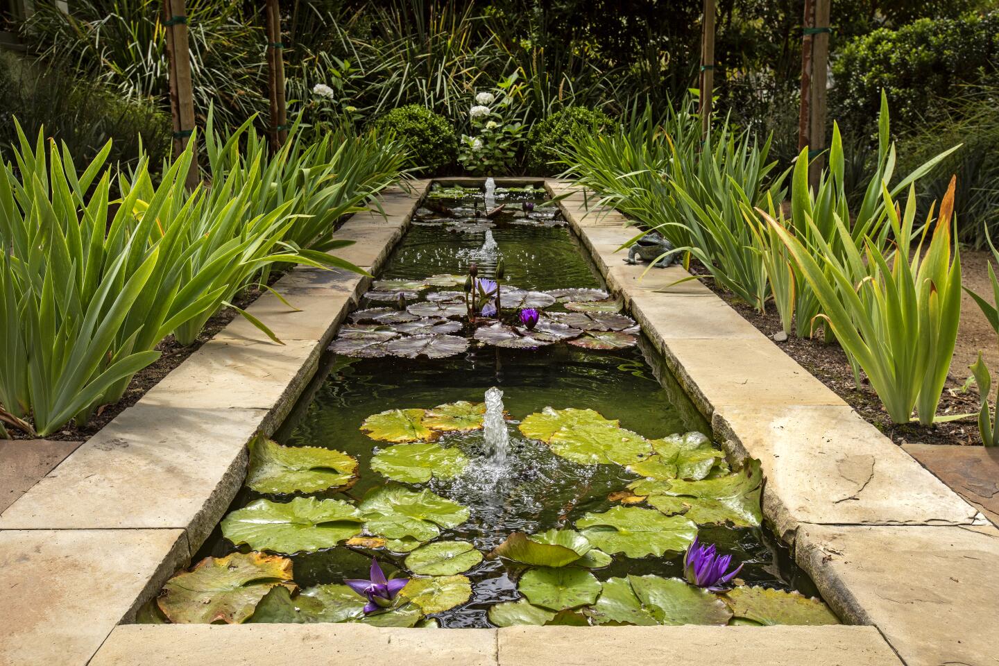A pond filled with water lilies greets visitors to the Santa Monica home, signaling the quiet retreat to be found in the backyard.