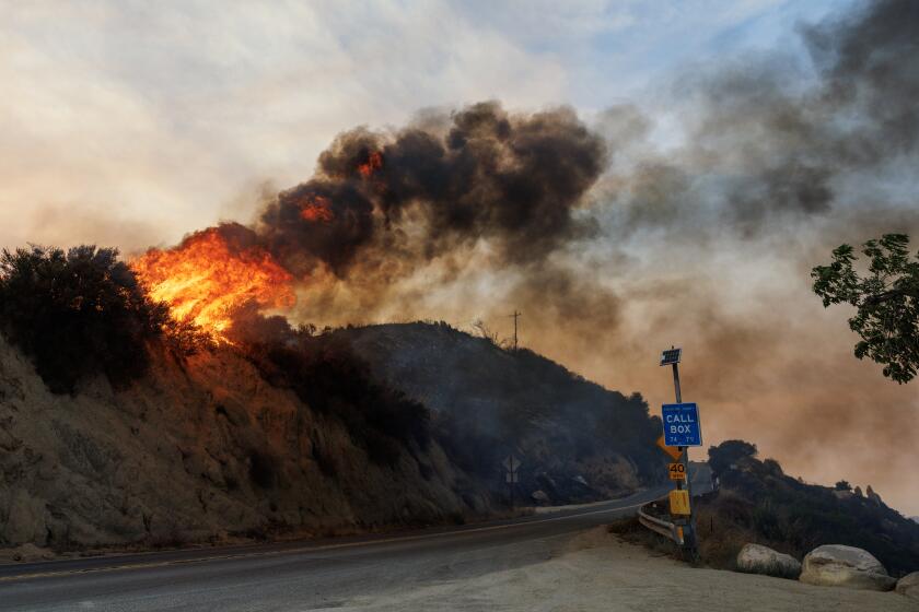 LAKE ELSINORE, CA - SEPTEMBER 11, 2024: The afternoon winds increased causing a flare up of the Airport fire at Highway 74 near the Lookout Roadhouse cafe on September 11, 2024 in Lake Elsinore, California. (Gina Ferazzi / Los Angeles Times)