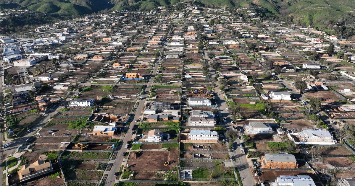 A manipulação de preços ficou impune após o incêndio, afirma o relatório