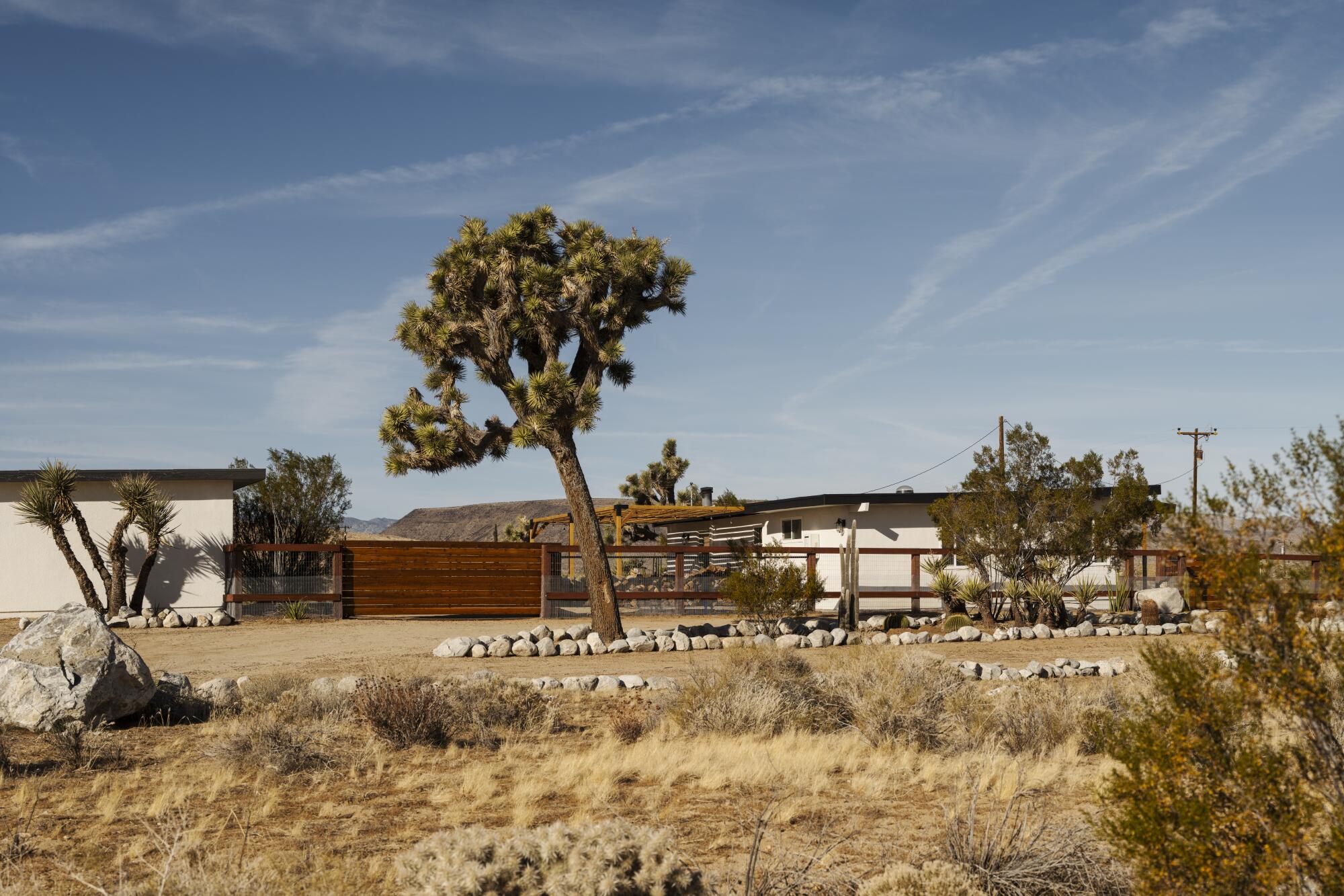 A cabin and Joshua Tree in the desert