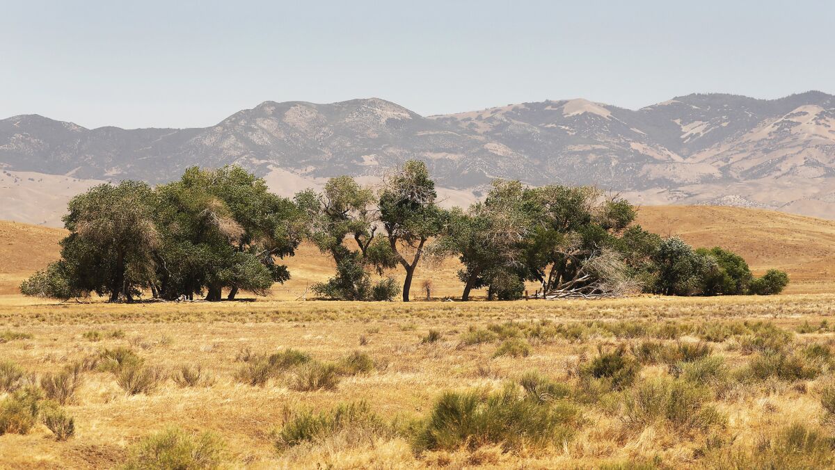 Grasslands on Tejon Ranch could be developed under the proposed Centennial Project, set to be heard by the L.A. County Board of Supervisors on Dec. 11. The site sits in "high" and "very high" fire hazard zones as designated by the state.