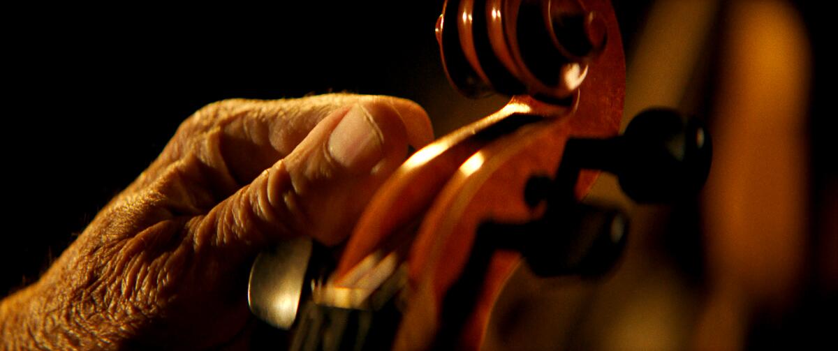 Closeup of a hand working on the tuning knobs of a string instrument.