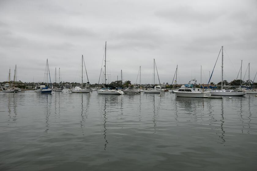 Newport Beach, CA - May 23: Boats are anchored in the offshore Mooring Field C in the Newport Channel on Tuesday, May 23, 2023 in Newport Beach, CA. (Scott Smeltzer / Daily Pilot)