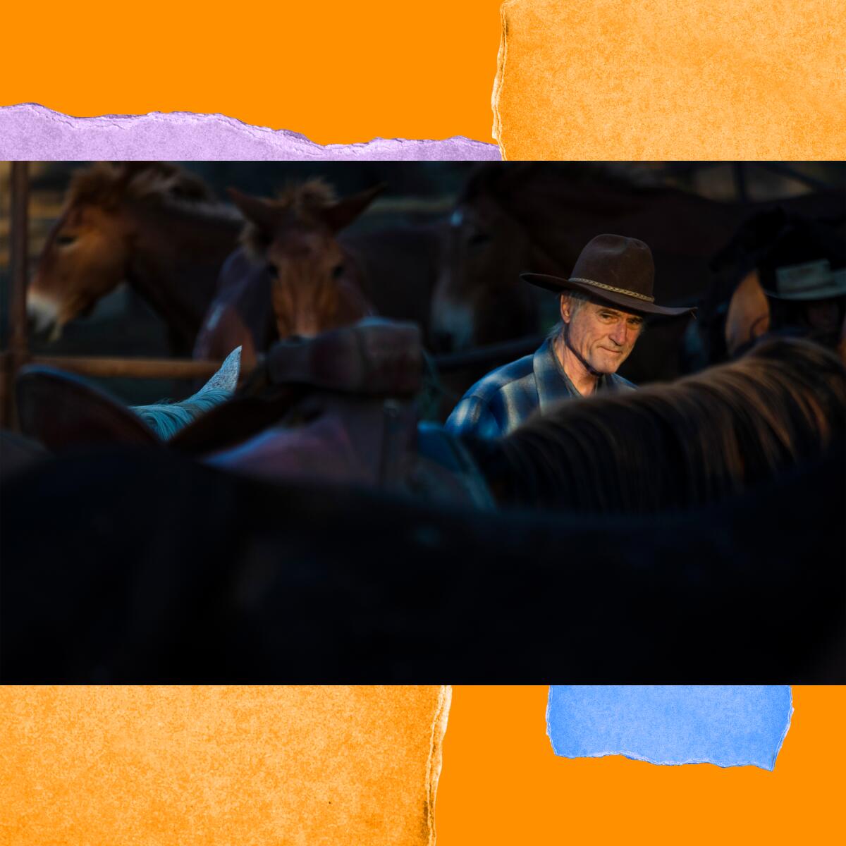 The face of a man in a cowboy hat is seen over the back of a saddled horse.