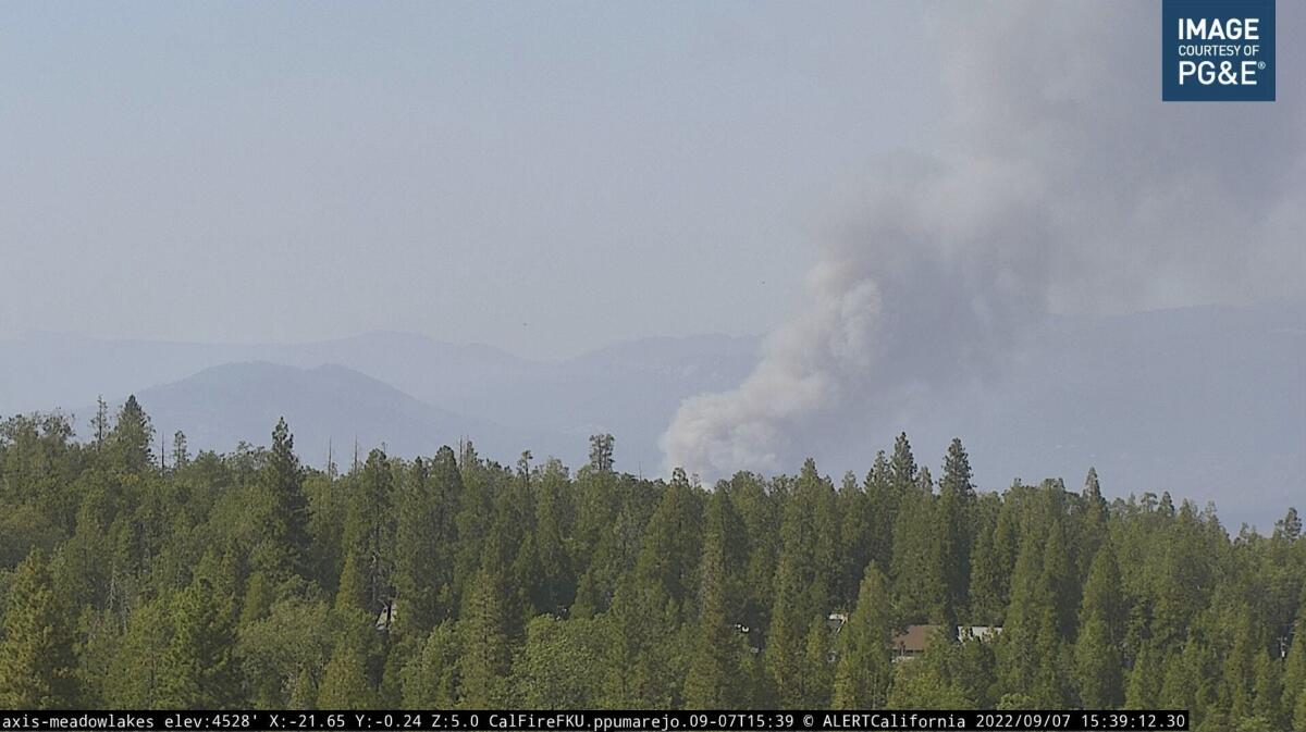 A plume of smoke rises in the distance above trees.