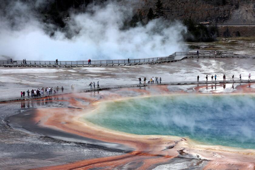 Crowds of visitors on the wooden walkways at the Midway Geyser Basin walk through the steam clouds around the colorful Grand Prismatic Spring in Yellowstone National Park.