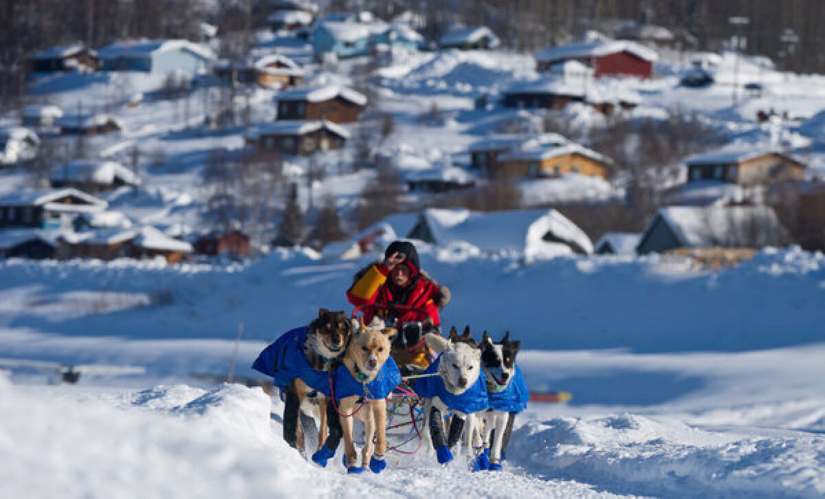 Musher Mitch Seavey leaves a checkpoint in Ruby, Alaska, in the 2012 Iditarod Trail Sled Dog Race.