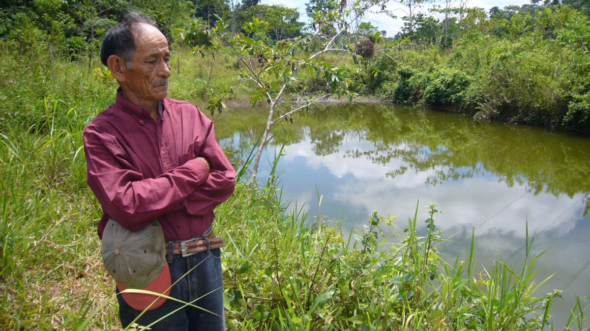 Abel Garrido stands near his oil-polluted pond in Coca, Ecuador, in 2008. "I've lost 30 cows," he said. "I cut them open and their insides are black."