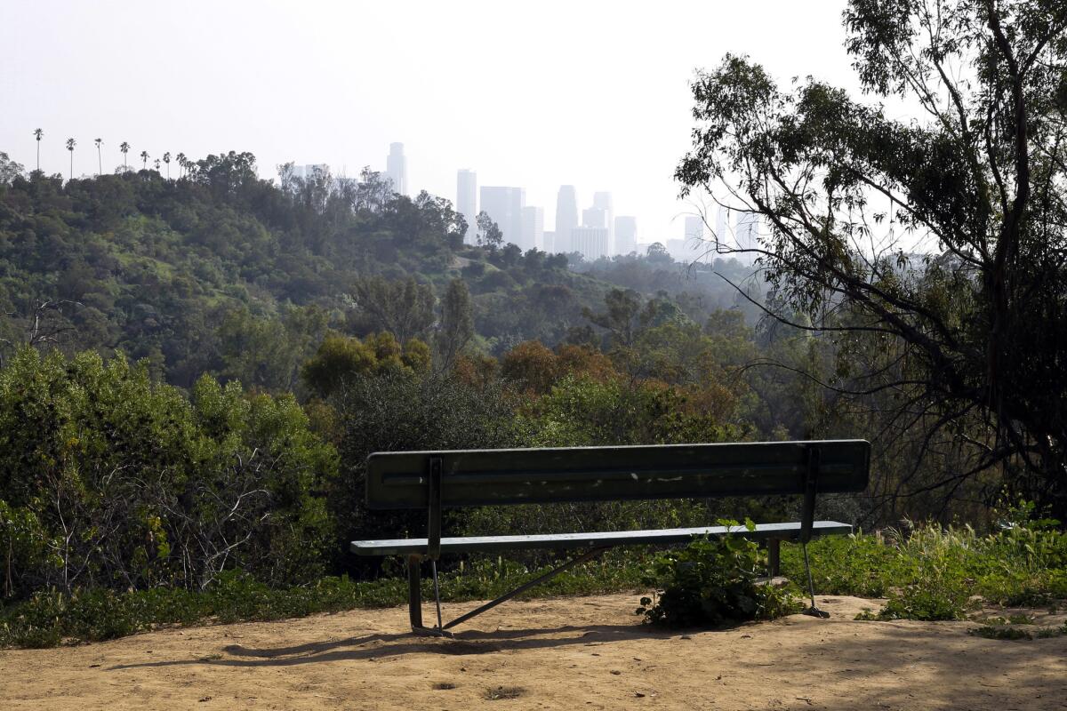Could benches in Los Angeles, like this one in Elysian Park, become tributes to books?