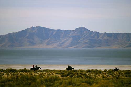 People from across the country head to Utah's Antelope Island to take part in one of the few volunteer buffalo roundups in the U.S.