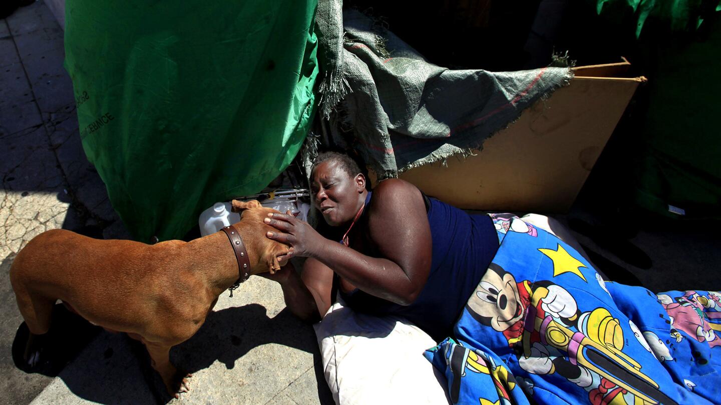 A dog's life on skid row