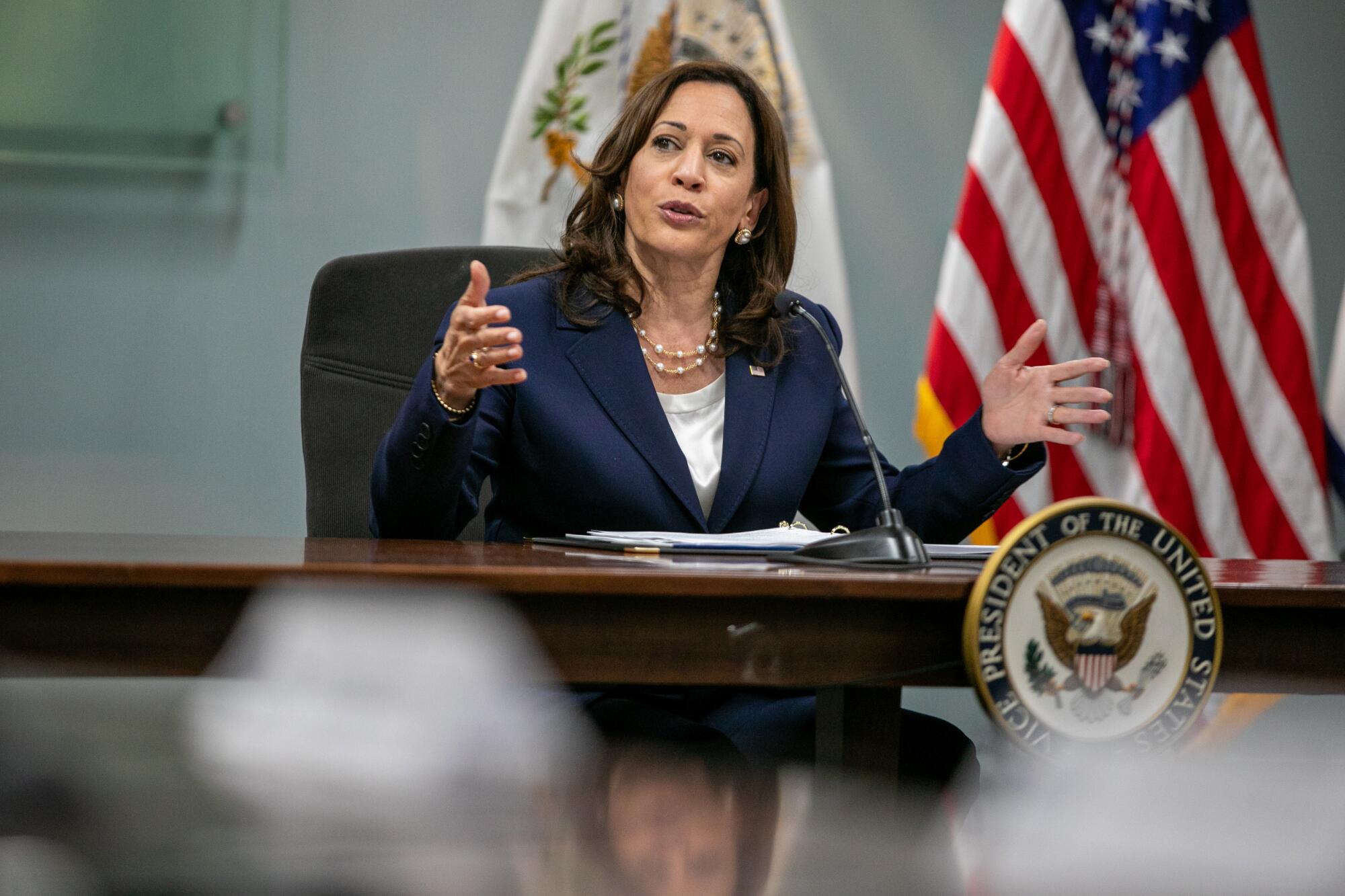 Vice President Kamala Harris speaks seated at a conference table