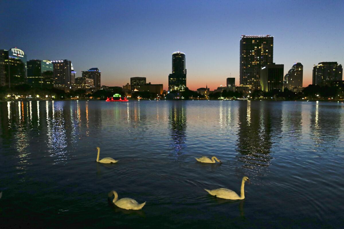 FILE - In this Monday, May 19, 2014 photo, swans swim in Lake Eola as the sun sets in Orlando, Fla. Ballots haven't even been printed yet, but already a group of landlords and real estate agents in Florida are trying to stop voters from deciding on a measure that would implement rent control for a year in the theme park hub that has been one of the fastest-growing metro areas in the U.S. (AP Photo/John Raoux, File)