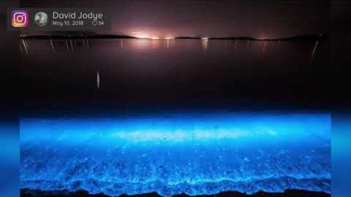 San Diego's night-time surf glowing with aqua colored light as  bioluminescence takes hold - The San Diego Union-Tribune