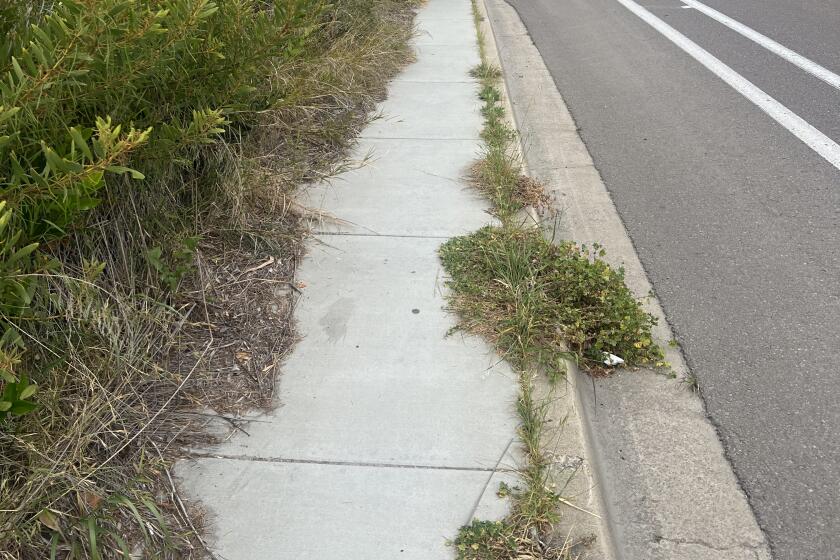 Weeds and overgrowth on a sidewalk on Torrey Pines Road between Calle de la Plata and Little Street