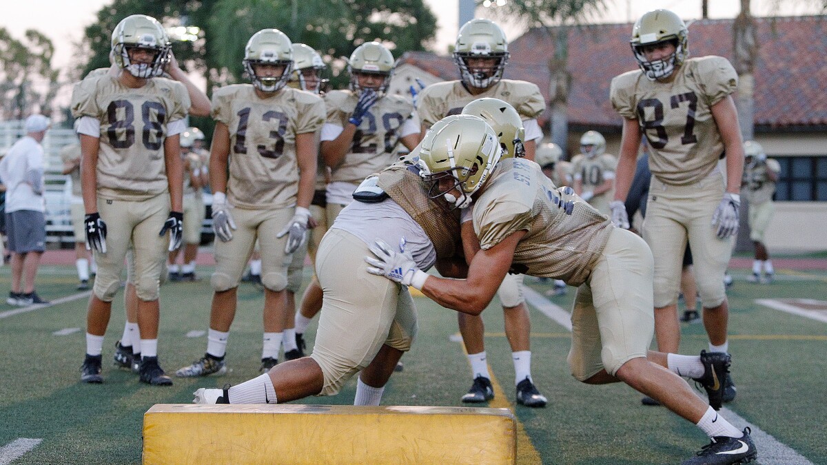 Football Preview Experienced St Francis Looking At Big Picture