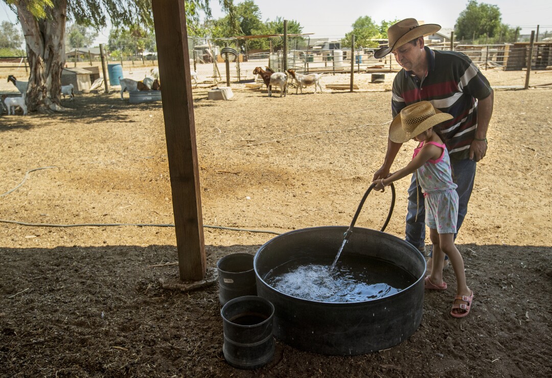 A little girl helps her father fill up a trough with water from a hose