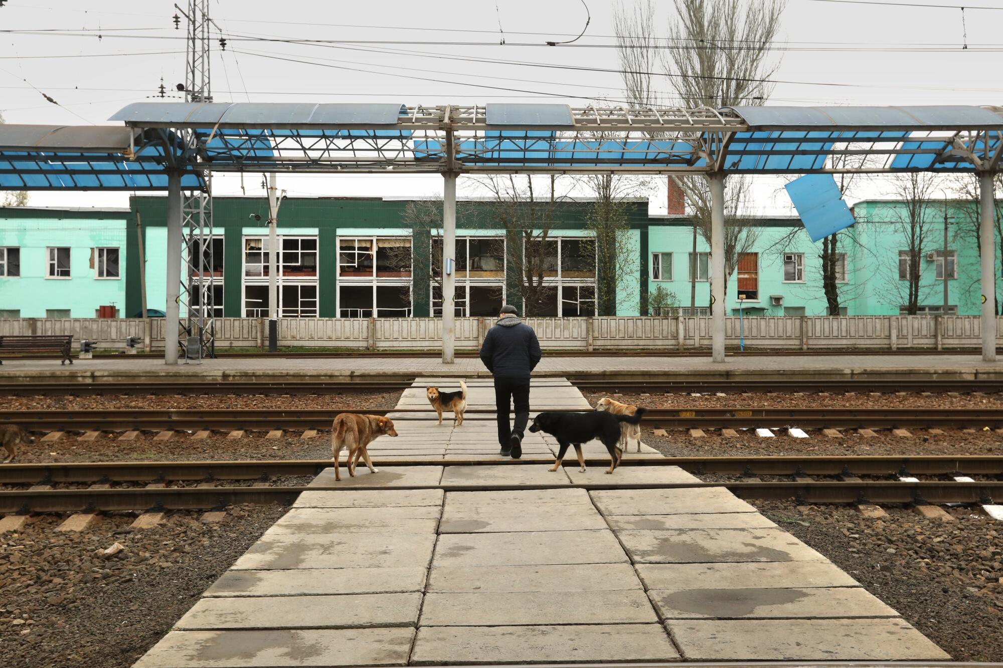 A man with dogs walks toward a train station.