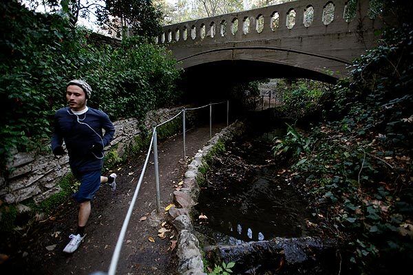 An early morning jogger runs on the Fern Dell trail in Griffith Park. The once-exotic sanctuary is in deep decline, a victim of neglect, budget cuts and rampant vandalism.