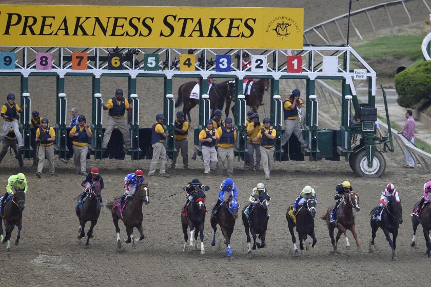 The 10-horse field leaves the starting gate during the running of the 142nd Preakness Stakes.