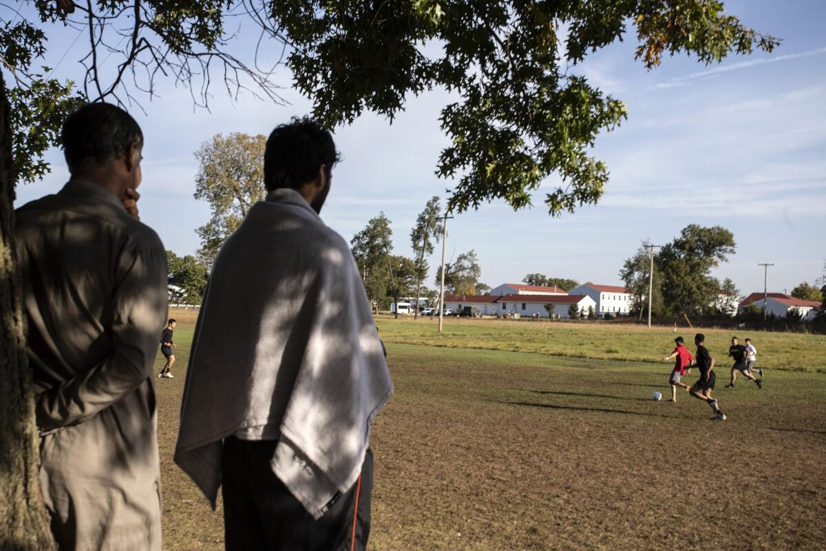 Two men stand under a tree and watch others play soccer