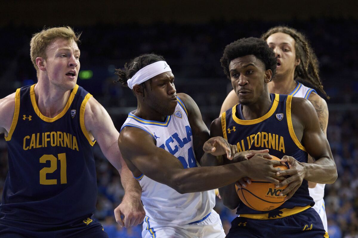 UCLA guard David Singleton tries to steal the ball from California guard Marsalis Roberson.