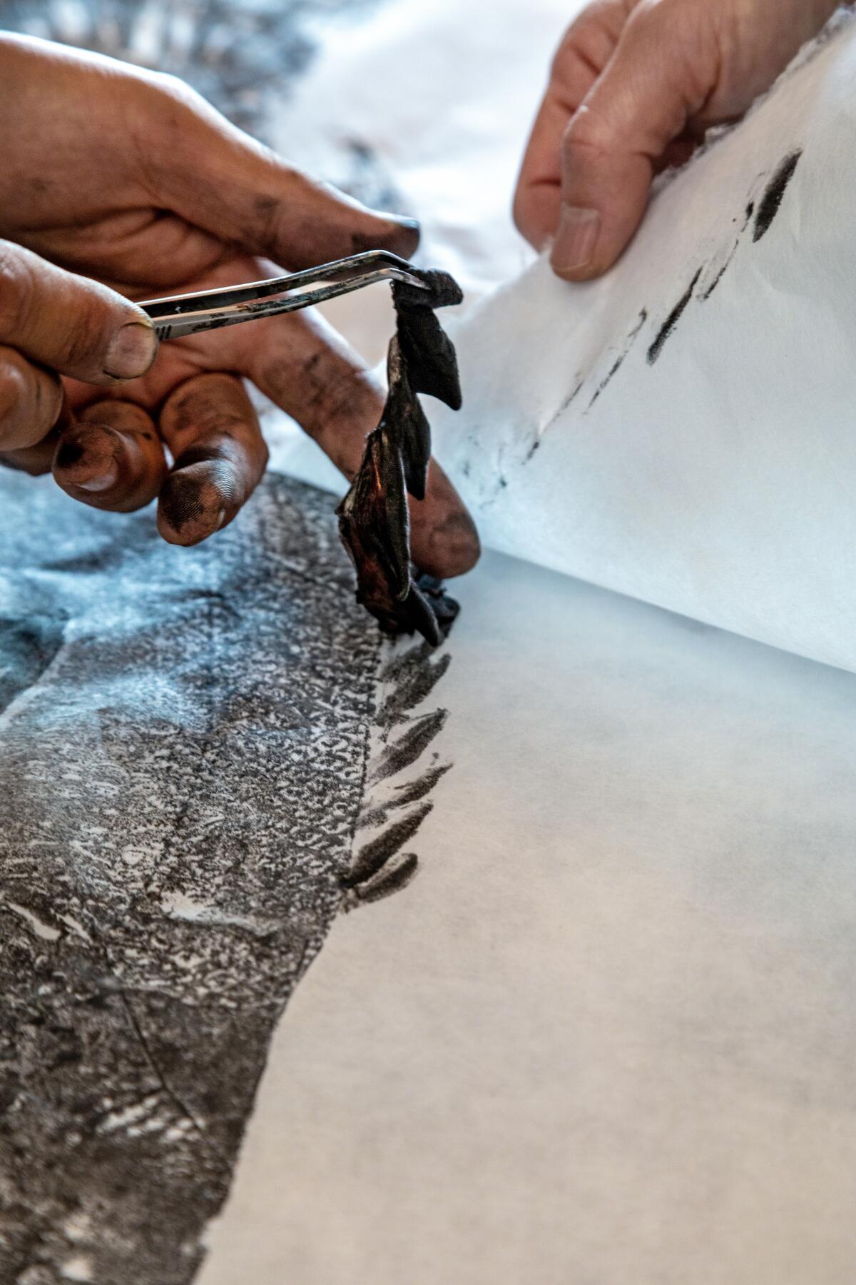 A dorsal fin covered in ink is used to make an imprint.