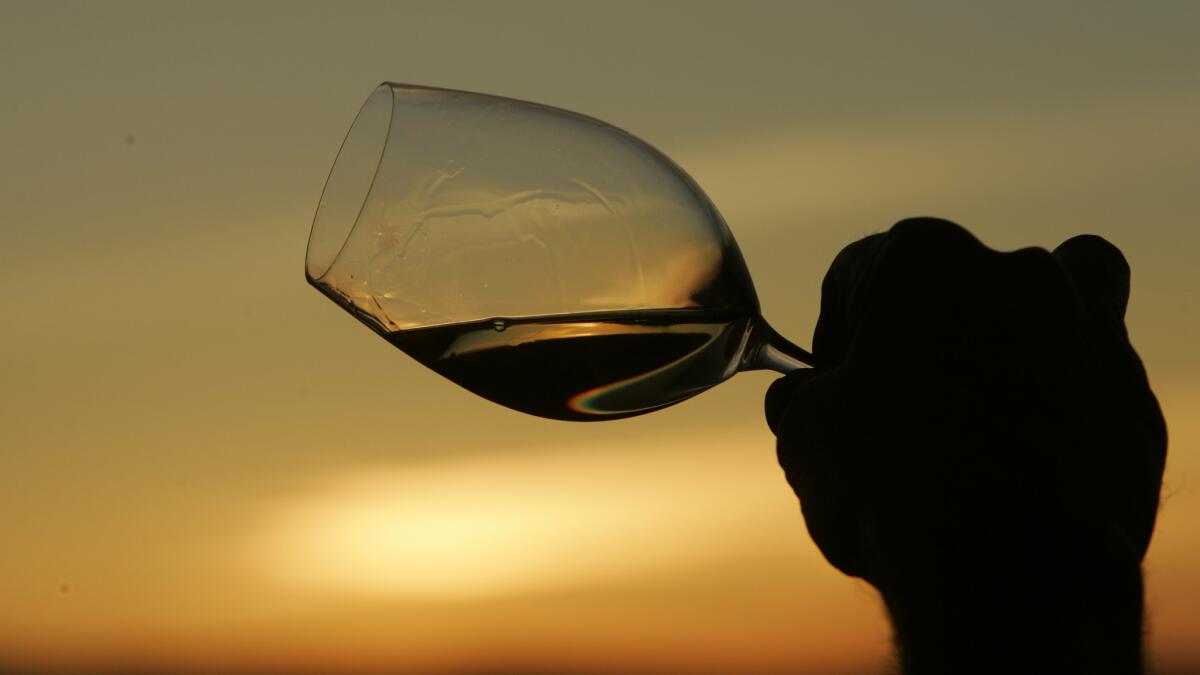 Navarro Vineyards winemaker Ted Bennett holds a glass of his white wine against the setting sun at his estate in Philo.