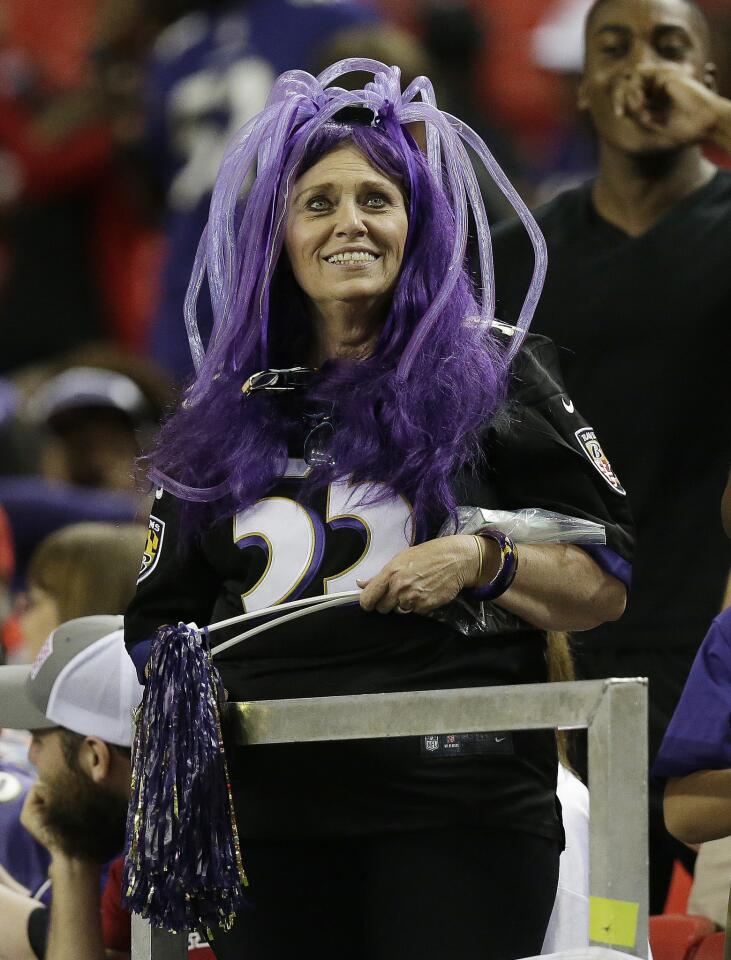 Ravens fan