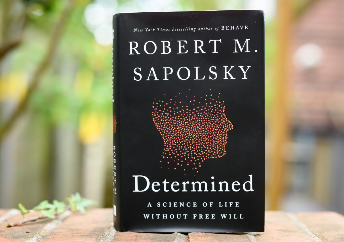 A book by Robert M. Sapolsky, titled "Determined," with a black background and the illustration of a side profile of a head 