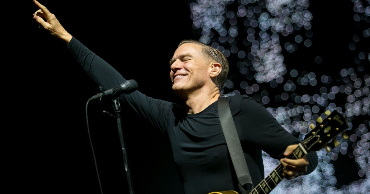 A Bryan Adams concert goes awry when a fan rushes the stage and steals his microphone
