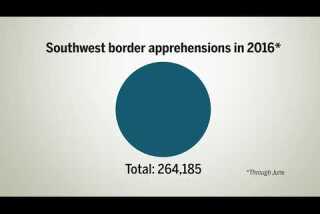 2016 border apprehensions