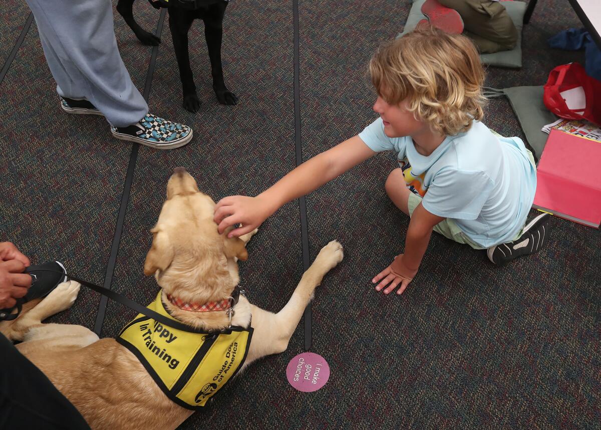 A student meets guide dog in training Moby during classroom walk-throughs at Hope View Elementary School.