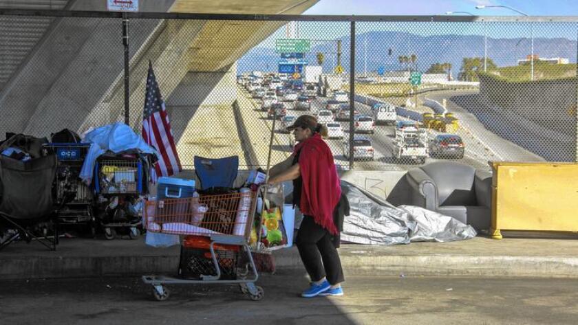 Homeless people in Los Angeles camp out overlooking  a freeway 