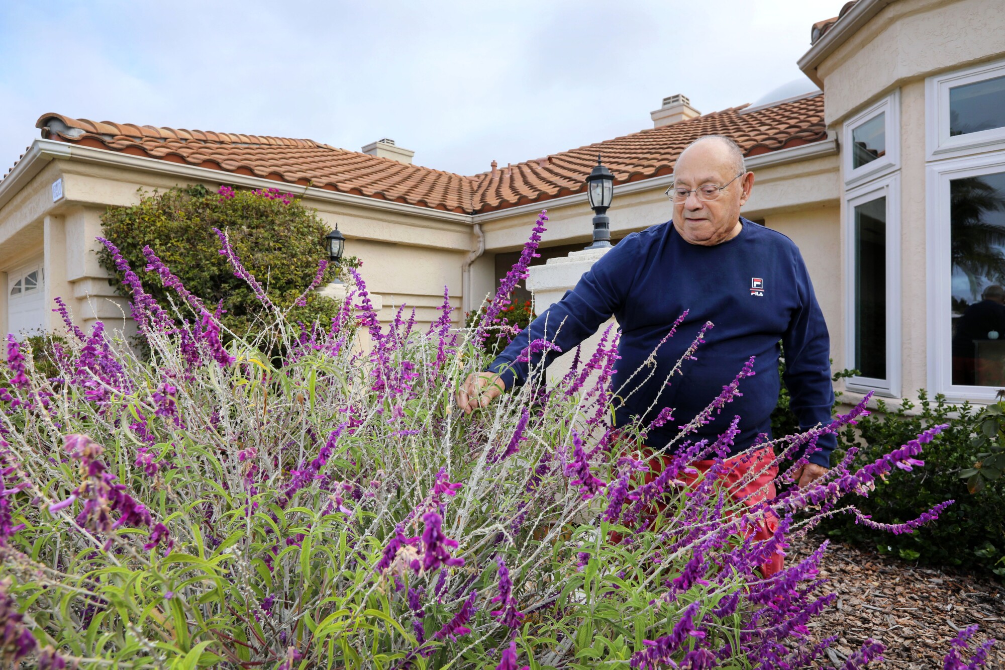 Homeowner Richard Jaross stands in his drought tolerant front yard