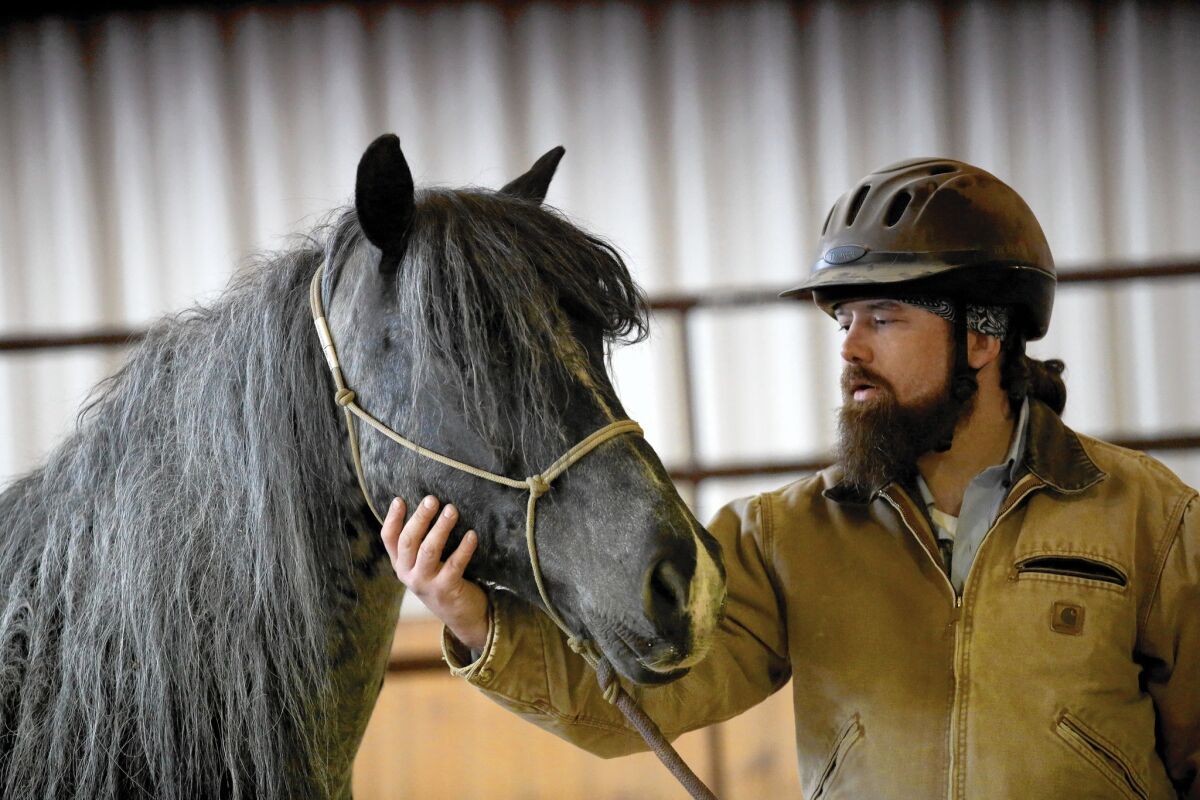 Mitchell Reno, a veteran of Iraq and Afghanistan, works with wild mustang Boo-Yah in April at BraveHearts.