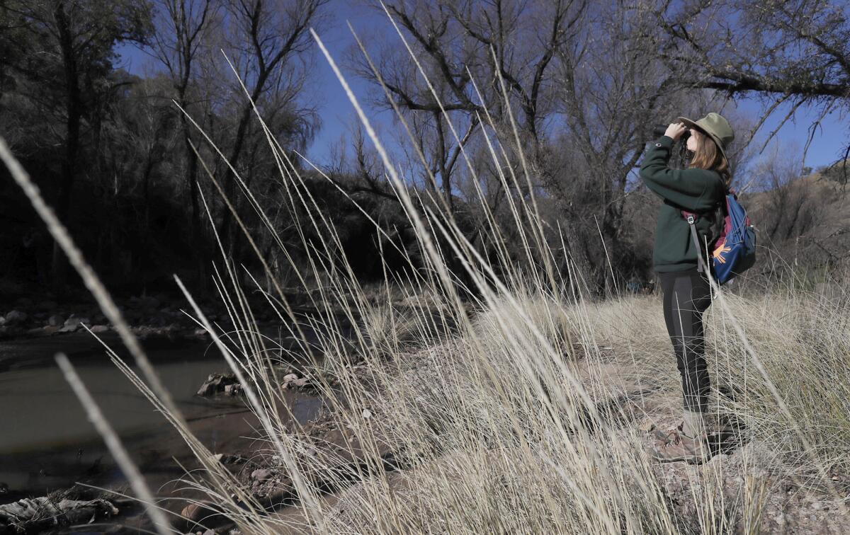 Danielle Hargett of Tucson looks for birds March 3 in Sycamore Canyon.