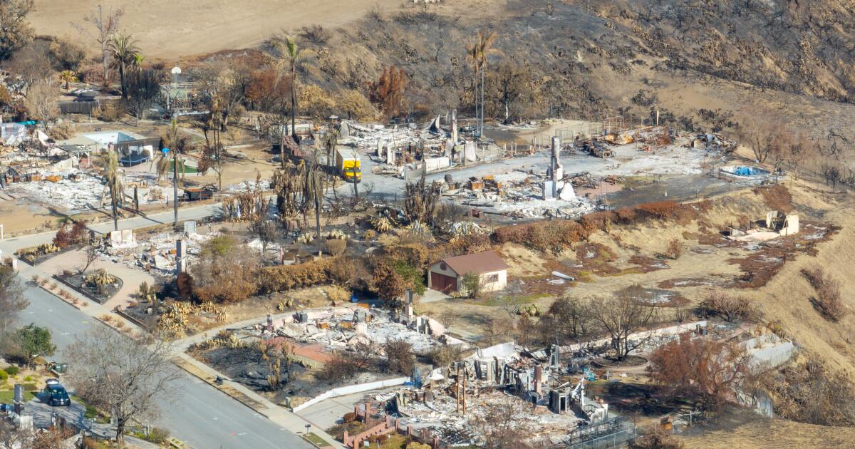 Las empresas de servicios públicos del sur de California podrían cortarle la electricidad debido a los vientos. Aquí le indicamos cómo prepararse