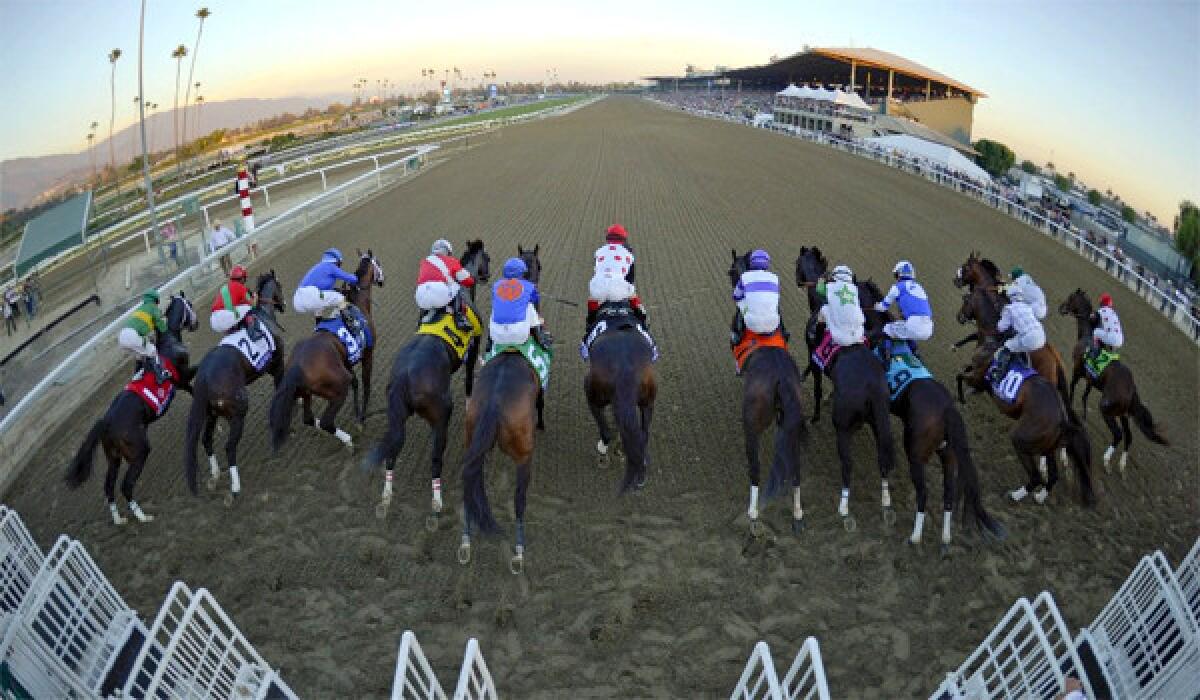 In the wake of Betfair Hollywood Park's pending closing, Santa Anita is considering the addition of night racing at the track.