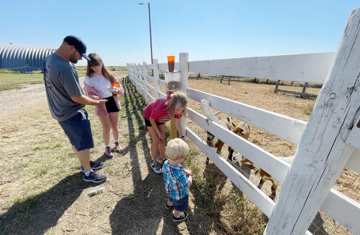 Four people stand outside a pen that holds goats.