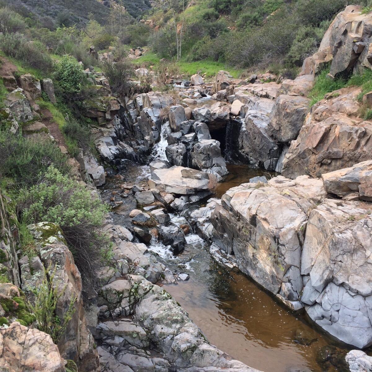 The Los Peñasquitos Canyon Preserve waterfall.